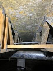 Mold in the Crawl Space