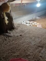 Crawl Space Issues Solved for a Healthier Home in Crivitz, WI