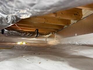 Clean Crawl Space