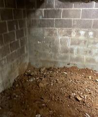 Crawl Space During Inspection
