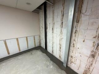 PowerBrace & CarbonArmor