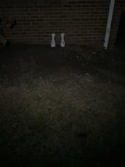 IceGuard Discharge Line