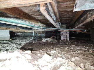 Crawl Space Moisture Damage