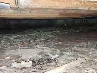 Sagging Floor Joists