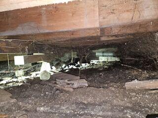 Before Installation - Dirty, Nasty Crawl Space