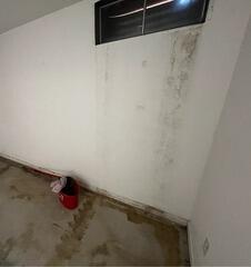 Before Waterproofing