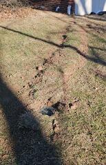 Discharge Lines and Outlet