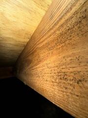 Moldy Crawl Space Transformation in Alpharetta, Georgia