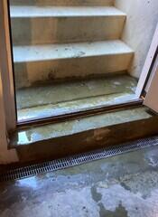 TrenchDrain Grated Basement Drain