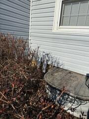 IceGuard Discharge Line