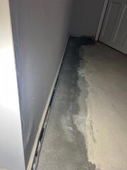 WaterGuard Drainage System