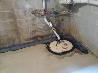 TripleSafe and WaterGuard