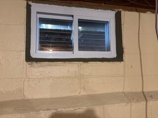 Everlast Window Inserts