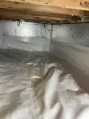 SilverGlo and CleanSpace