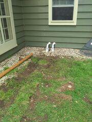 After: IceGuard® Installation