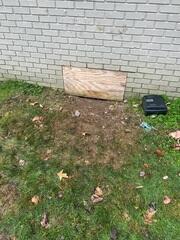 Old Crawl Space Entrance