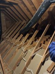 Take Out & Disinfect