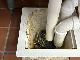 Treated The Floor Drains