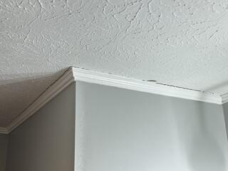 How SmartJacks Helped Lift and Level This Home