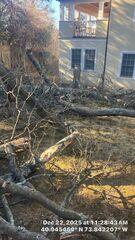 Trees down everywere