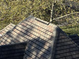 Ridge-Guard® Protects