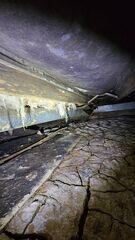 Harmful Moisture in a Crawlspace