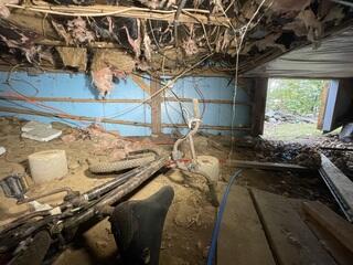 Crawl Space - Before