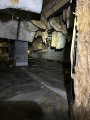 Nasty Crawl Space!