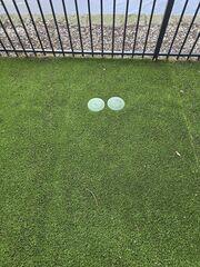 Backyard Appearance Restored