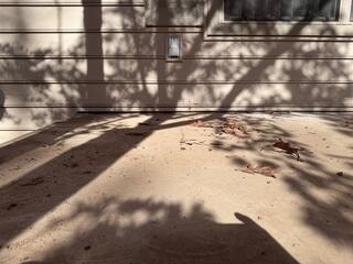 The Final Result is a Lifted and Properly Supported Porch