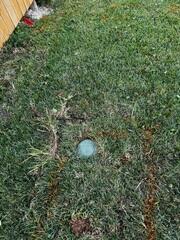 Complete Exterior Drainage System Installation