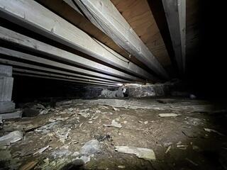 Crawl Space