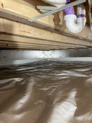 Crawl Space Encapsulation