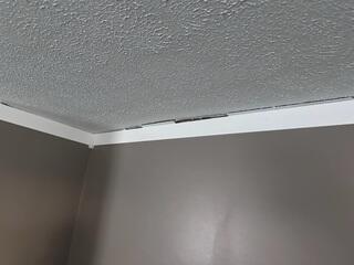 Signs of Settlement in the Home