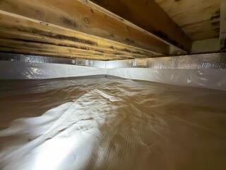 CleanSpace Liner + SilverGlo