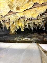 CrawlSpace During Inspection