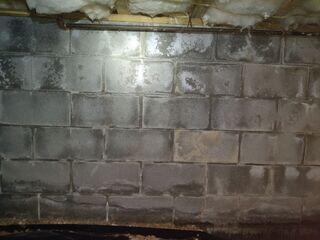 Crawl Space During Inspection