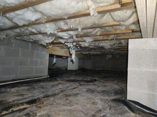 Crawl Space Before Project
