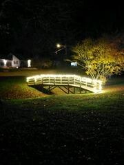 Accent Holiday lights in Milford, CT