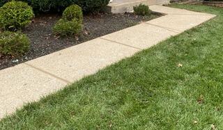 Concrete Walkway Restored