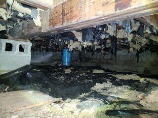 Before Crawl Space Encapsulation