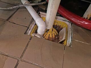 Cleaning Out the Floor Drains