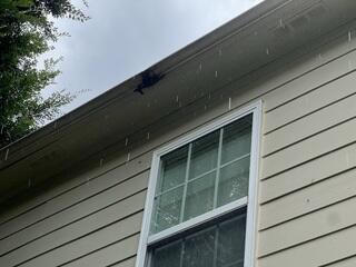 Rusted gutters