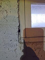 Setting Up for Rodents