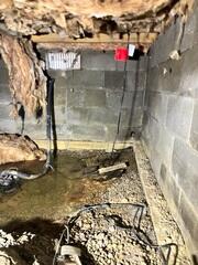 Sump Pump Under Water