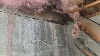 Turning a Crawl Space into a Healthy Environment in Chester, NY