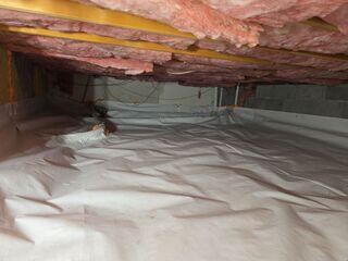 Crawlspace 12 mil Vapor Barrier