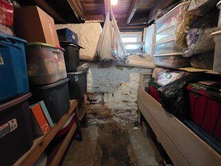 Mold and Water damage