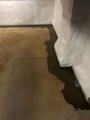 CleanSpace® Wall System