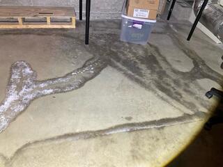 Efflorescence in Basement